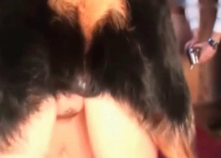 Dog cumming right in her pussy