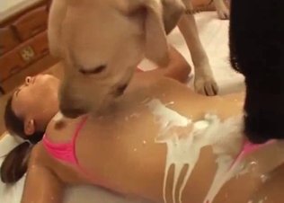 Slender Asian model opened her wet cunt for a big dog