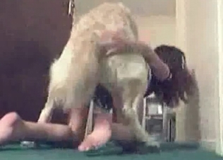 Jacked up puppy fucking her on cam