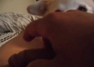 Horny chick fucked by a dog.