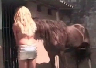 Sexy horse fucks this blonde.