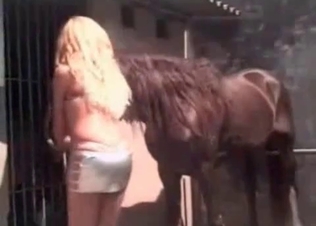 Sexy horse fucks this blonde.