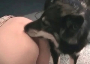 Tight pussy licked up by Shephard.