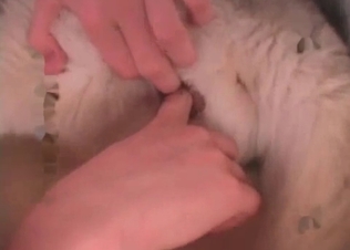 Ball-licking husky stud