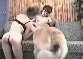 Two sexy pervs and their dog