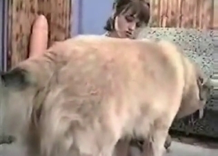 Two sexy pervs and their dog