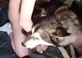 Owner fucking her pet tyke