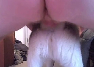 Slutty dog gets fucked anally