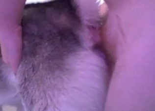 Slutty dog gets fucked anally