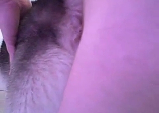Slutty dog gets fucked anally