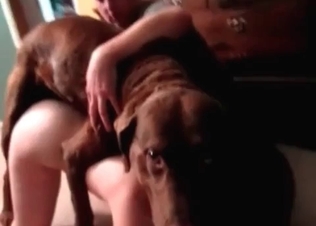Cute dog fucking on camera