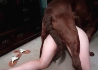 Cute dog fucking on camera