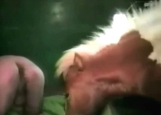 Tight pussy letting in a horse cock