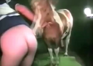 Tight pussy letting in a horse cock