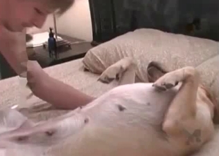 Kinky retriever loves anal