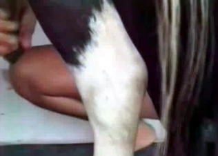 Little pony and its human bitch