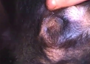 Big dick fucking a cute dog