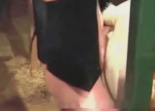 Kinky animal gets anally satisfied