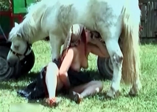 Jockey loving that horse cock
