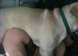 Wet cunt for a retriever