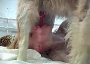 Kinky bitching sucking hairy dog cock