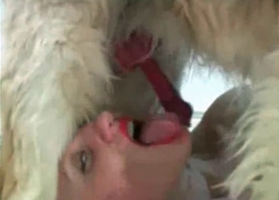 Kinky bitching sucking hairy dog cock