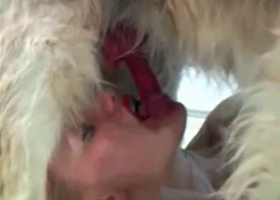 Kinky bitching sucking hairy dog cock