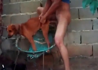 Small dog being kinky