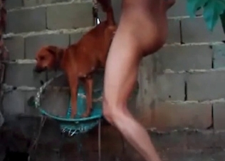 Small dog being kinky