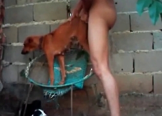 Small dog being kinky