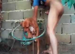 Small dog being kinky