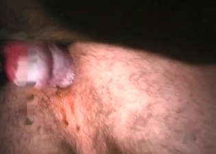Innocent puppy destroyed by a huge cock
