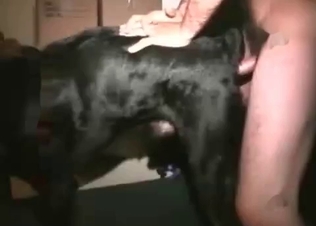 Innocent puppy destroyed by a huge cock