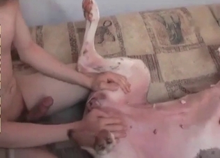 Guy drilling this cute puppy
