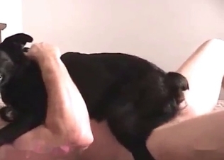Black mutt fucking on camera