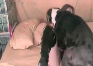 Pussy licking doggy