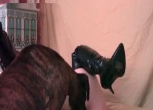 Pussy licking doggy