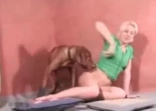 Puppy fucking a hot blonde