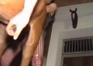 Brown stallion fucking on cam