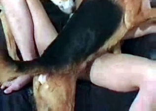 Incredible quality animal sex video