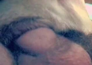 Anal sex for a white dog