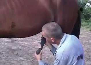 Stallion screwing her with passion