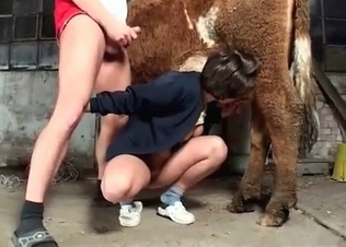 Kinky family couple’s animal sex