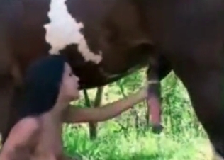 Sexy horse watching her reveal her hot body