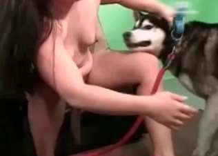 Kinky hot dog in action