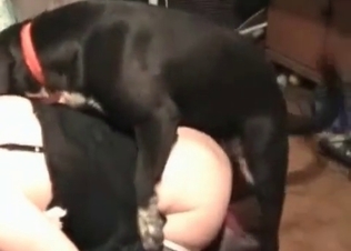 Cur fucking this beautiful slut