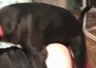 Cur fucking this beautiful slut