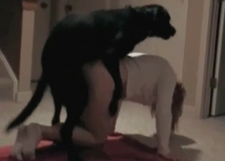 Dog loves everything about it