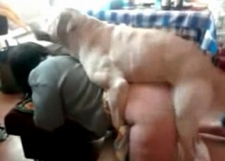 Brown dog fucking her