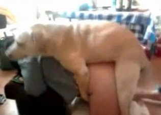 Brown dog fucking her